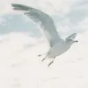 kazuhiro1982
